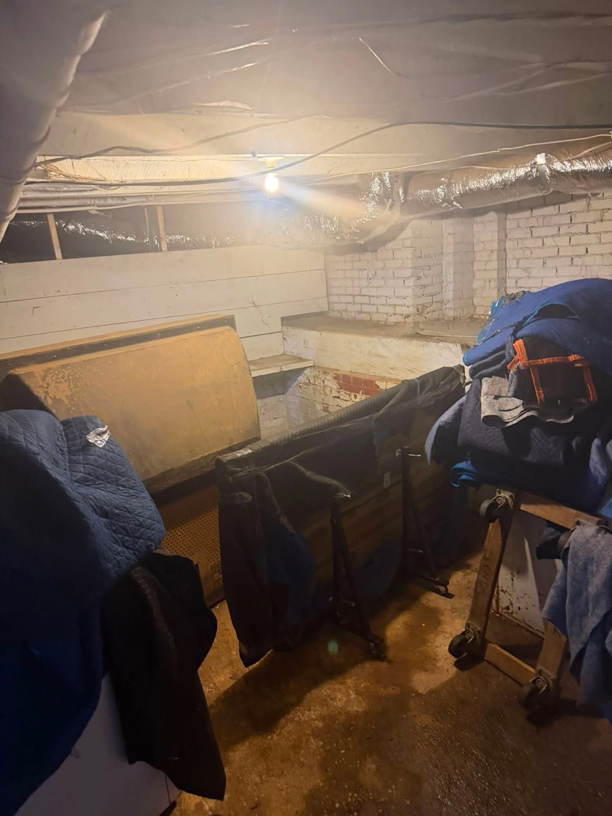 Basement storage area with concrete floor, brick walls, and LED work light illuminating organized items and backpacks